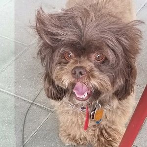 Meet your Posher, Tonya